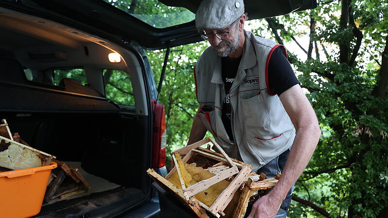 Einen ganzen Kofferraum voller Rächen und Waben sicherte der Imker Peter Boxdorfer. Ob die Bienen mit Krankheiten befallen sind, kann er nicht beurteilen. Jetzt werden die Waben ausgeschnitten, die Rähmchen abgekocht. Die entsorgten Materialien haben großen Wert. Einen ganzen Kofferraum voller Rächen und Waben sicherte der Imker Peter Boxdorfer. Ob die Bienen mit Krankheiten befallen sind, kann er nicht beurteilen. Jetzt werden die Waben ausgeschnitten, die Rähmchen abgekocht. Die entsorgten Materialien haben großen Wert.