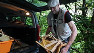 Einen ganzen Kofferraum voller R&auml;chen und Waben sicherte der Imker Peter Boxdorfer. Ob die Bienen mit Krankheiten befallen sind, kann er nicht beurteilen. Jetzt werden die Waben ausgeschnitten, die R&auml;hmchen abgekocht. Die entsorgten Materialien haben gro&szlig;en Wert.