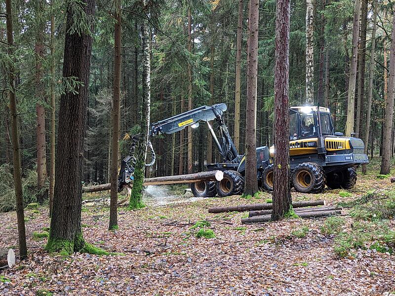 Der Harvester ist aus der Waldarbeit nicht mehr wegzudenken.Forchheim & Fr&auml;nkische Schweiz