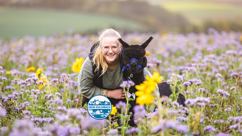 Alpakas von Geretsbach