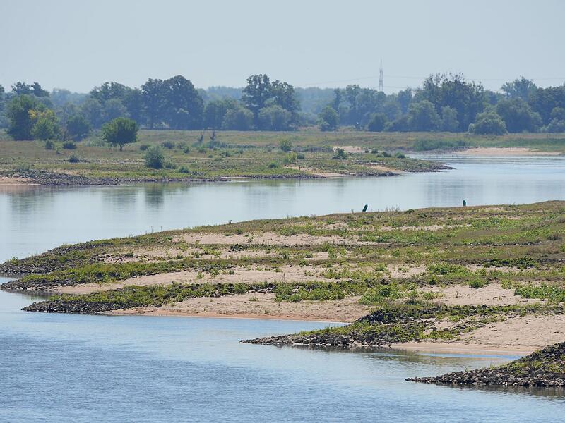 Niedrigwasser in der Elbe