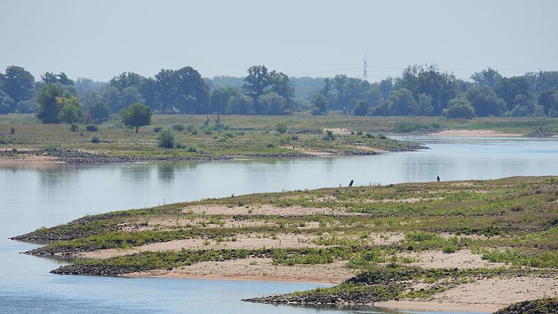 Niedrigwasser in der Elbe