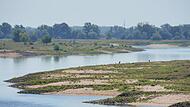 Niedrigwasser in der Elbe Niedrigwasser in der Elbe