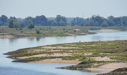 Niedrigwasser in der Elbe