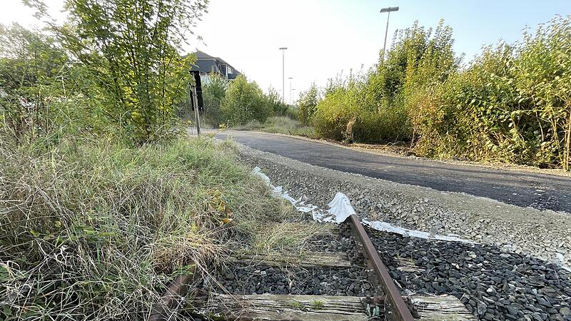 In Gerolzhofen sind die Gleise der stillgelegten Steigerwaldbahn mittlerweile unter einem Fuß- und Radweg verschwunden. In Gerolzhofen sind die Gleise der stillgelegten Steigerwaldbahn mittlerweile unter einem Fuß- und Radweg verschwunden.