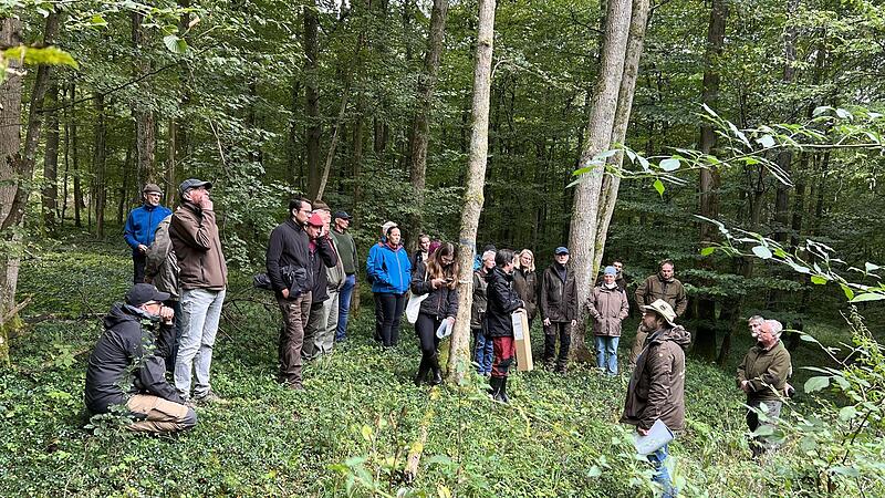 Feste Schuhe, offenes Ohr und Interesse am vereinte die 30-k&ouml;pfige Gruppe auf ihrer Wanderung durch den Sailersh&auml;user Wald.