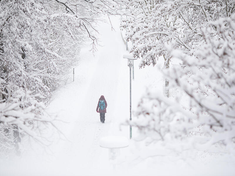 Schneechaos in BambergNeuschnee in Bamberg und Umgebung