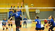Volleyball aus Hammelburg