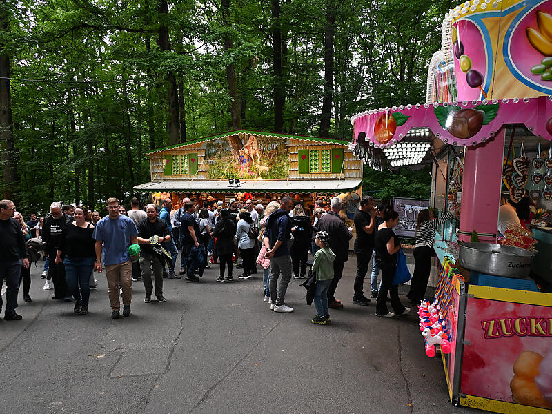 Der Firmenmittwoch ist Tradition am Forchheimer Annafest und lockt jedes Jahr viele Firmen aus Stadt und Landkreis Forchheim an.