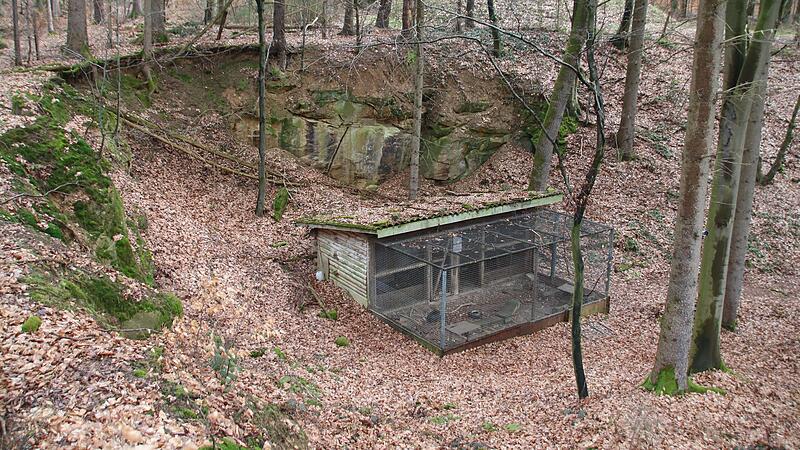 In dieser Anlage bei Klosterlangheim lebt ein Fuchs, der gehalten wird, um in einem nachgebauten Fuchsbau Jagdhunde auszubilden.