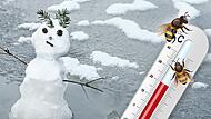 Statt Schnee und Eis bringt das Wetter aktuell zu warme Temperaturen im Landkreis Bad Kissingen. Statt Schnee und Eis bringt das Wetter aktuell zu warme Temperaturen im Landkreis Bad Kissingen.