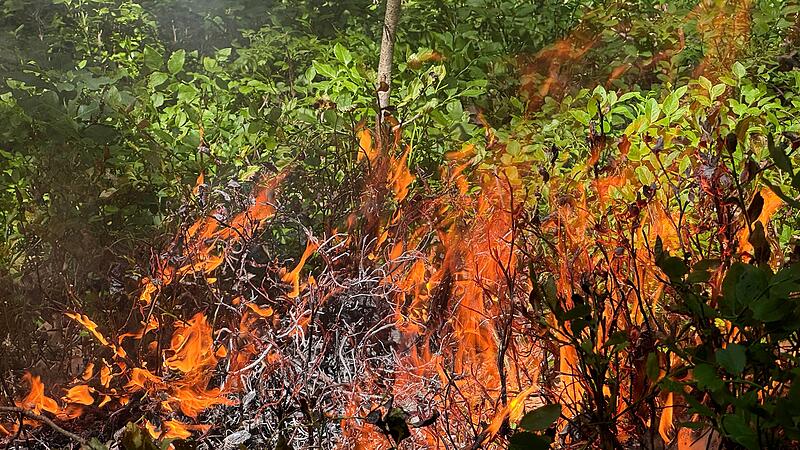 Anfang des Jahres veranstaltete die Feuerwehr in Kirchehrenbach eine Waldbrand&uuml;bung.