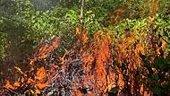 Anfang des Jahres veranstaltete die Feuerwehr in Kirchehrenbach eine Waldbrand&uuml;bung.