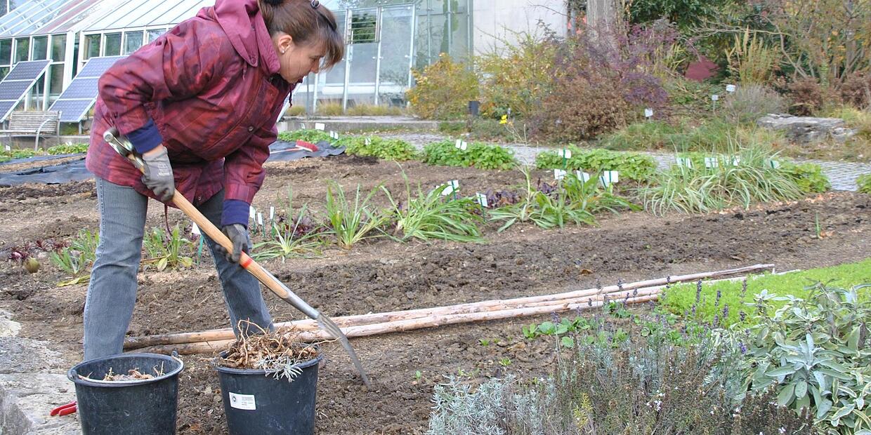 Garten umgraben im Herbst möglichst spät