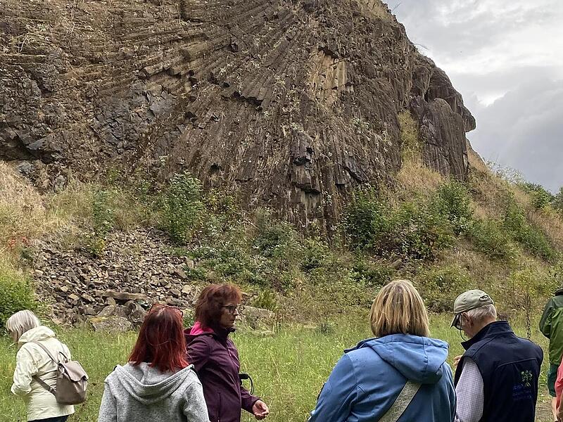 Die Basaltsäulen in der sogenannten Meilerstellung beeindruckten die Teilnehmerinnen und Teilnehmer der Wanderung zum Geotop Lindenstumpf.