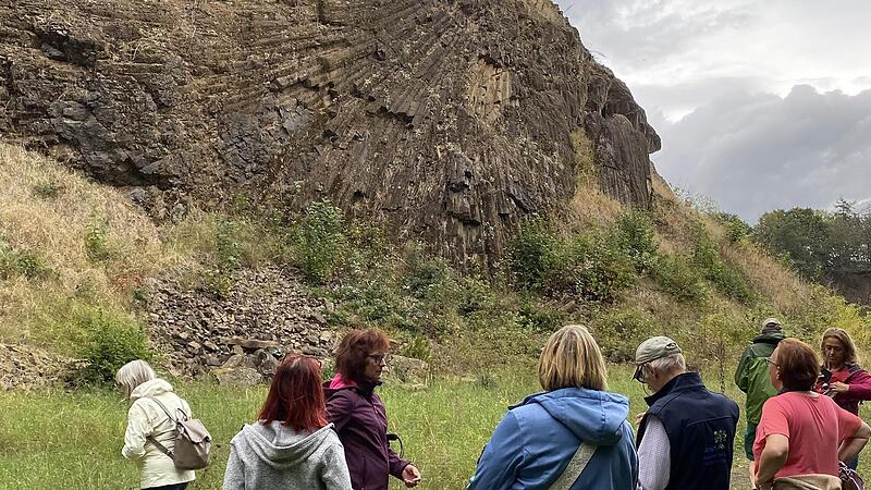 Die Basaltsäulen in der sogenannten Meilerstellung beeindruckten die Teilnehmerinnen und Teilnehmer der Wanderung zum Geotop Lindenstumpf.