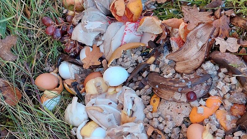 Eigentlich geh&ouml;ren Lebensmittelreste in die Biotonne: In Elfershausen entsorgt ein Unbekannter seinen Abfall allerdings schon seit ungef&auml;hr einem Jahr im Stra&szlig;engraben.
