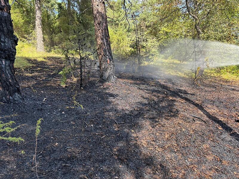 Waldbrand bei N&uuml;dlingen: Die Feuerwehr aus Hausen beim L&ouml;schen