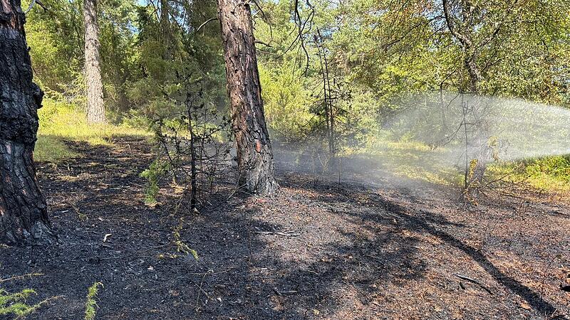 Waldbrand bei Nüdlingen: Die Feuerwehr aus Hausen beim Löschen