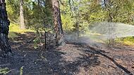 Waldbrand bei Nüdlingen Waldbrand bei Nüdlingen: Die Feuerwehr aus Hausen beim Löschen