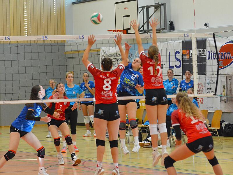 Volleyball aus Hammelburg
