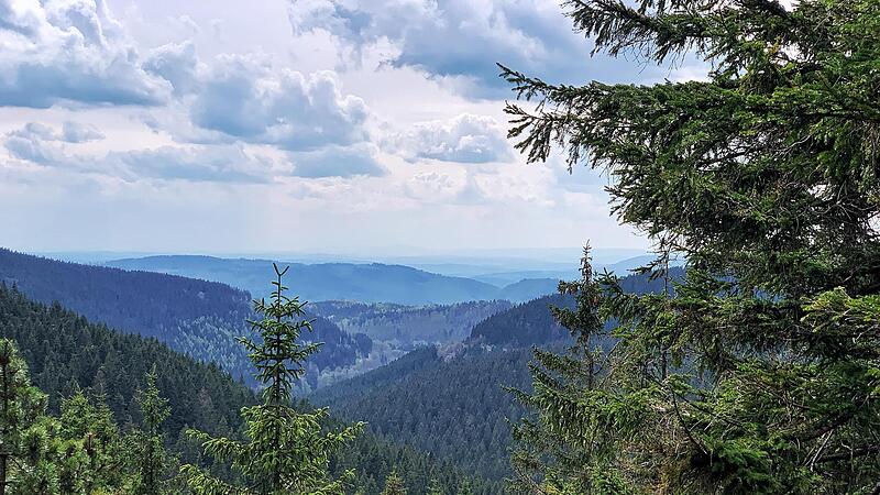 Die Fahrt durch den Th&uuml;ringer Wald war ein echter Rausgucker.