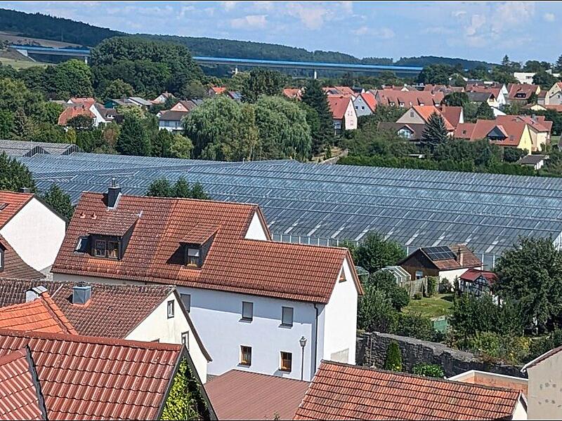 Das Treibhausareal liegt zwischen Altstadt und Karlsberrg.
