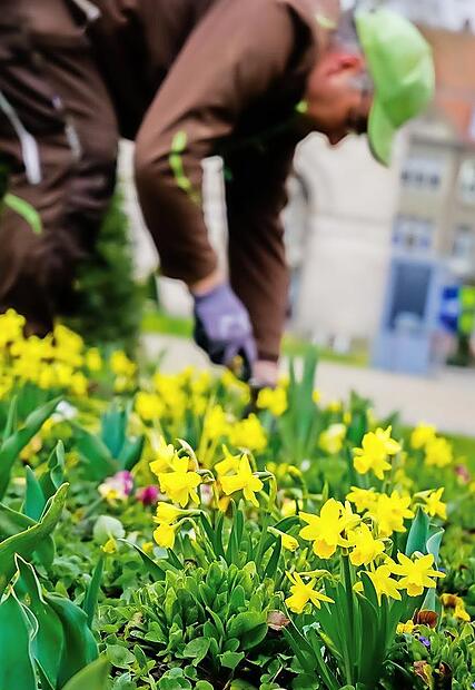 Es wird bunt in den Kuranlagen, Gärten und Parks.