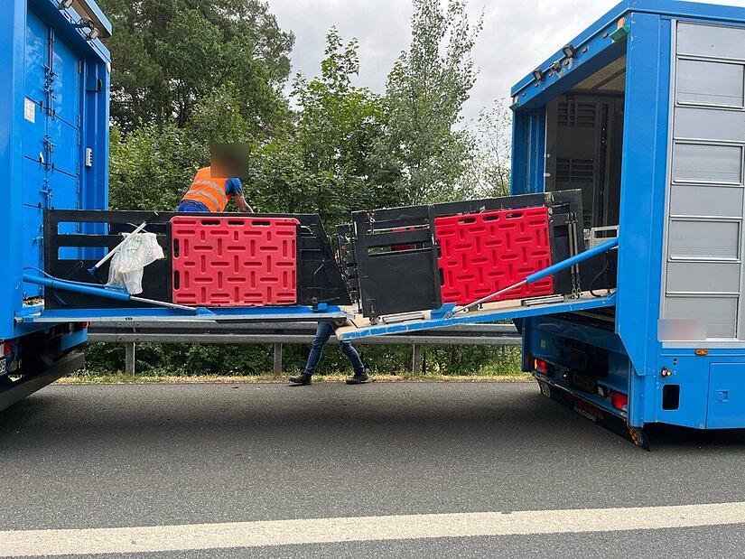 A70 bei Stadelhofen: Schweinetransporter hat Panne auf Fahrbahn
