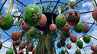 Der größte Osterbrunnen der Welt steht in Bieberbach bei Egloffstein in der Fränkischen Schweiz. Am langen Osterwochenende können dieser und viele weitere in der Fränkischen Schweiz besucht werden.