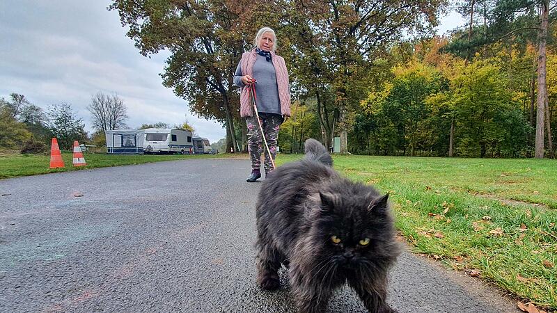 Zauberfee muss an die Leine – Camperin Rosemarie Müller hält sich an die Platzregeln. Zauberfee muss an die Leine – Camperin Rosemarie Müller hält sich an die Platzregeln.