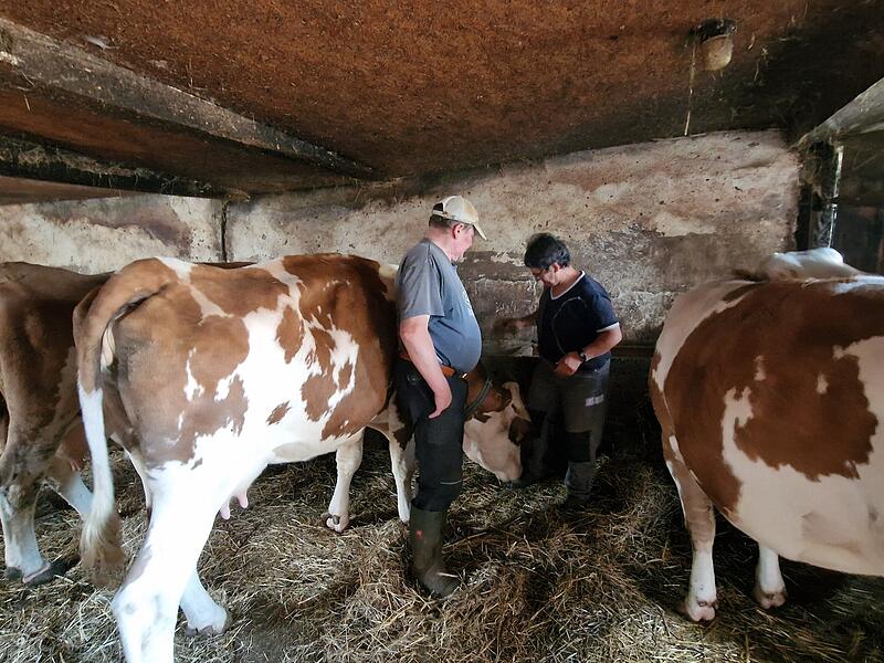 Karola und Willibald Wehner geben ihre Milchviehhaltung auf. Mit ihnen verschwinden die letzten Milchk&uuml;he aus Zahlbach.