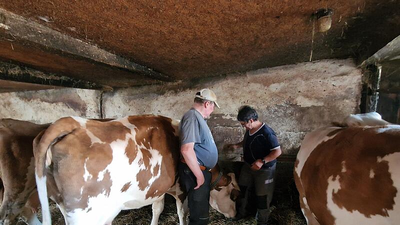 Karola und Willibald Wehner geben ihre Milchviehhaltung auf. Mit ihnen verschwinden die letzten Milchk&uuml;he aus Zahlbach.
