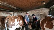 Karola und Willibald Wehner geben ihre Milchviehhaltung auf. Mit ihnen verschwinden die letzten Milchk&uuml;he aus Zahlbach.