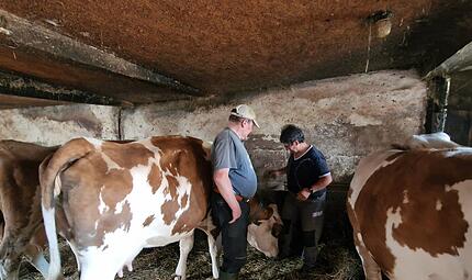 Karola und Willibald Wehner geben ihre Milchviehhaltung auf. Mit ihnen verschwinden die letzten Milchk&uuml;he aus Zahlbach.