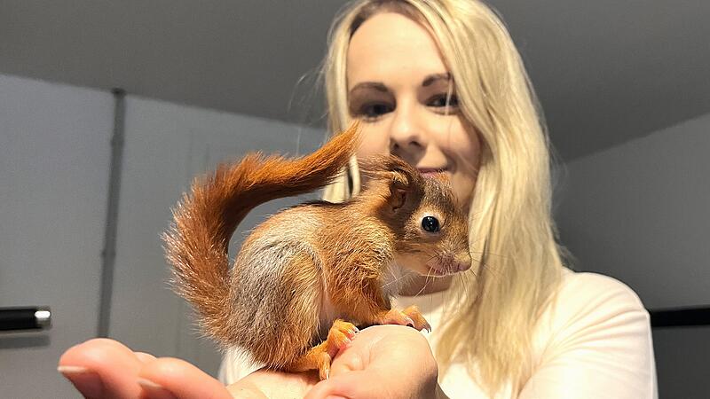 Julia Neumayer investiert viel Zeit und Geld für die kleinen Racker.