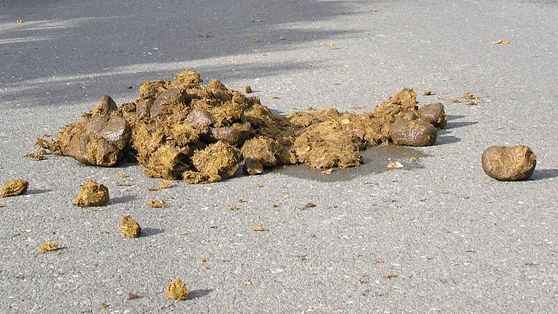 Pferdeäpfel bringen Glück! Zumindest beim „1, Huter Pferdelotto“ in Coburg. Pferdeäpfel bringen Glück! Zumindest beim „1, Huter Pferdelotto“ in Coburg.