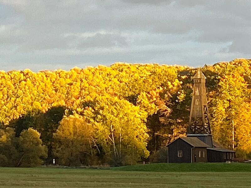 Sonnenuntergangs-Stimmung in den Saalewiesen am Luitpoldsprudel