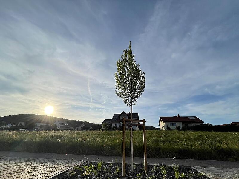 Das Neubaugebiet „Am Oberdorf“ in Mitgenfeld nimmt Formen an, auch wenn noch nicht alle Bauplätze verkauft werden konnten. Das Neubaugebiet „Am Oberdorf“ in Mitgenfeld nimmt Formen an, auch wenn noch nicht alle Bauplätze verkauft werden konnten.