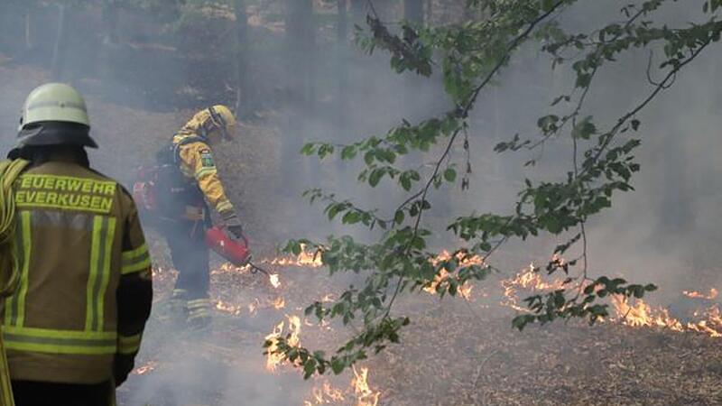 "Größter Waldbrand in der Geschichte NRWs": Brandgeruch treibt bis nach Franken "Größter Waldbrand in der Geschichte NRWs": Brandgeruch treibt bis nach Franken