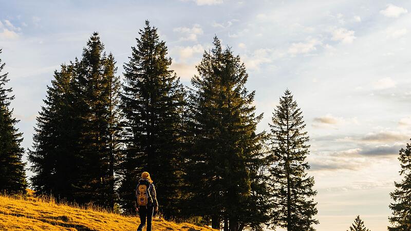 Eine Frau wandert am Feldberg