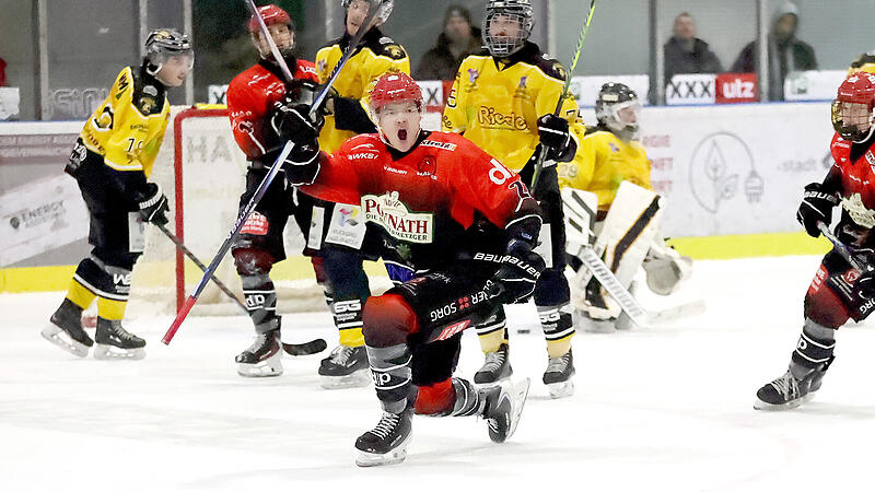 Vorbericht ESC Haßfurt Hawks in Dorfen
