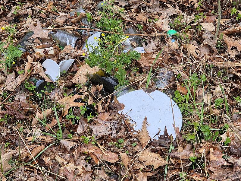 Illegale M&uuml;llentsorgung