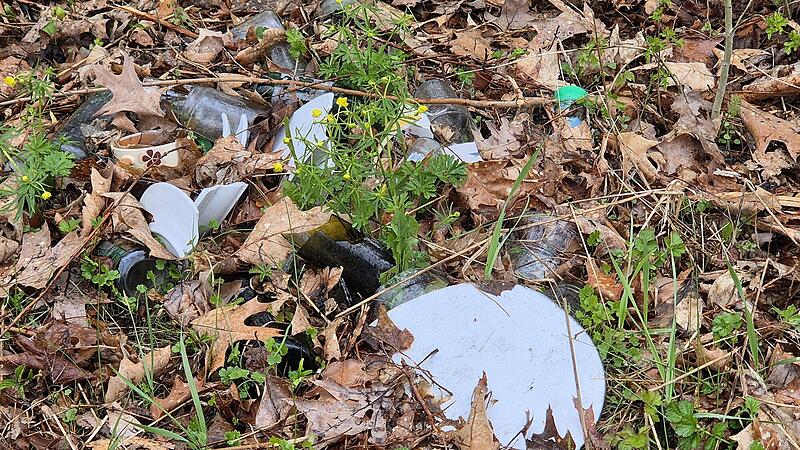 Illegale M&uuml;llentsorgung