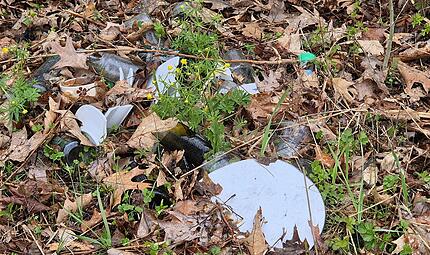 Illegale M&uuml;llentsorgung