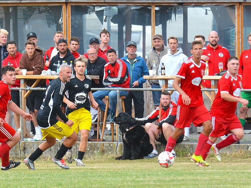 Die Spiele der B-Klasse Rh&ouml;n