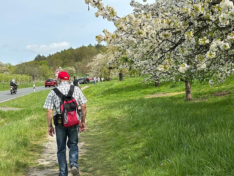 Zahlreiche Ausflügler bevölkerten die Straßen und Wege hinter Pretzfeld, dort wo gerade die Kirschbäume blühen.Ein bisschen Sommer im April - und die Massen stürmen die Fränkische Schweiz Zahlreiche Ausflügler bevölkerten die Straßen und Wege hinter Pretzfeld, dort wo gerade die Kirschbäume blühen.