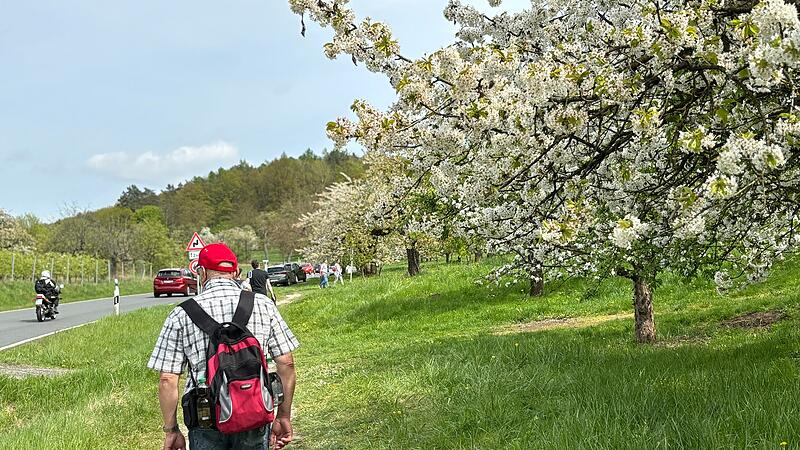 Zahlreiche Ausfl&uuml;gler bev&ouml;lkerten die Stra&szlig;en und Wege hinter Pretzfeld, dort wo gerade die Kirschb&auml;ume bl&uuml;hen.