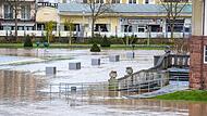 Im Januar 2024 stand der Rosengarten in Bad Kissingen zu weiten Teilen unter Wasser. Im Januar 2024 stand der Rosengarten in Bad Kissingen zu weiten Teilen unter Wasser.