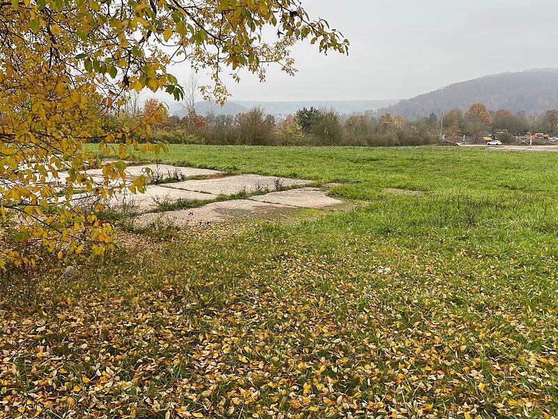 Der nördliche Bereich der früheren Kaserne in Bad Kissingen soll Gewerbegebiet werden. Ein großer Teil des Areals wurde von der Natur zurückerobert und wird auch künftig als Lebensraum für bedrohte Tierarten benötigt.